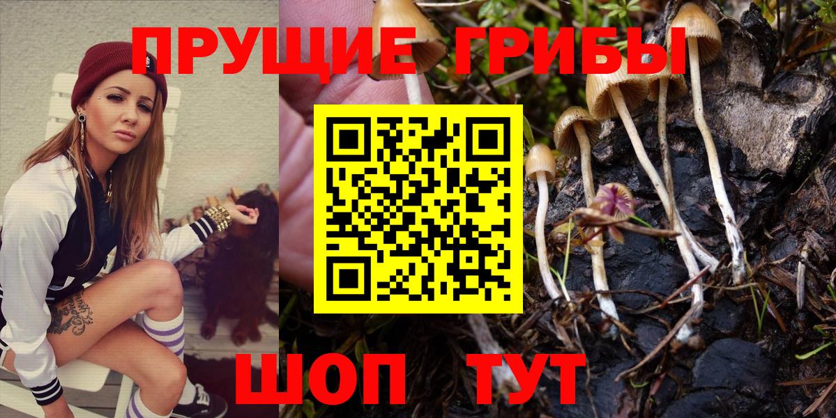 Галлюциногенные грибы прущие грибы Джанкой