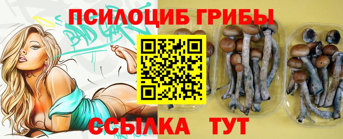 Джанкой  Псилоцибиновые грибы мухоморы  Вход с VPN 